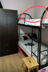 Blk 248 Gombak View (Bukit Batok), HDB 3 Rooms #559902221